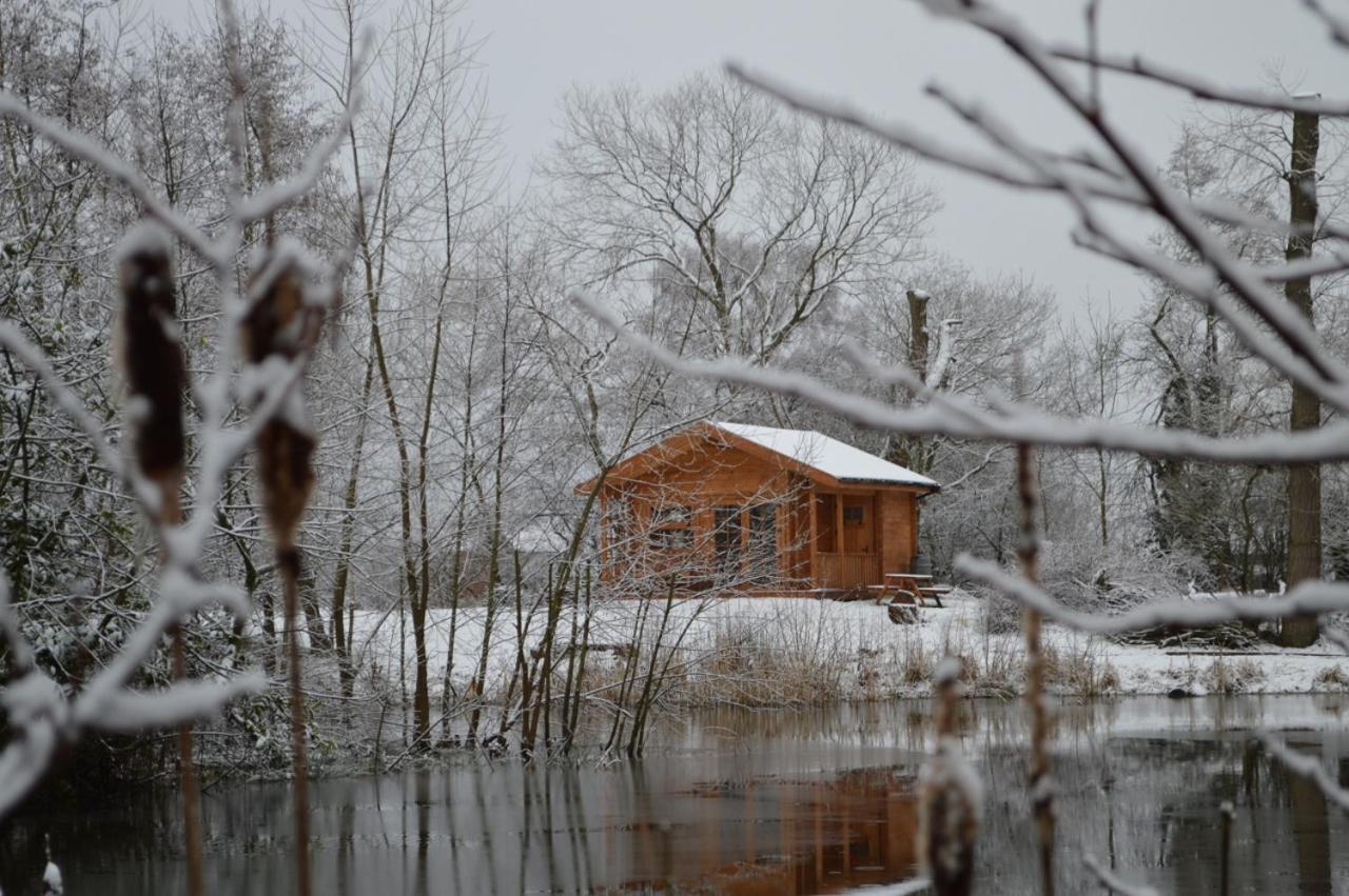 Bluebell Log Cabin