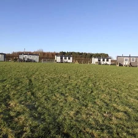 Springwood Shepherd Huts Glamping York-3