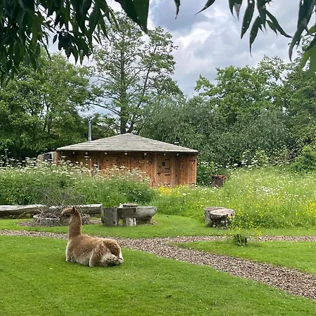 Acorn Glade Glamping York-3